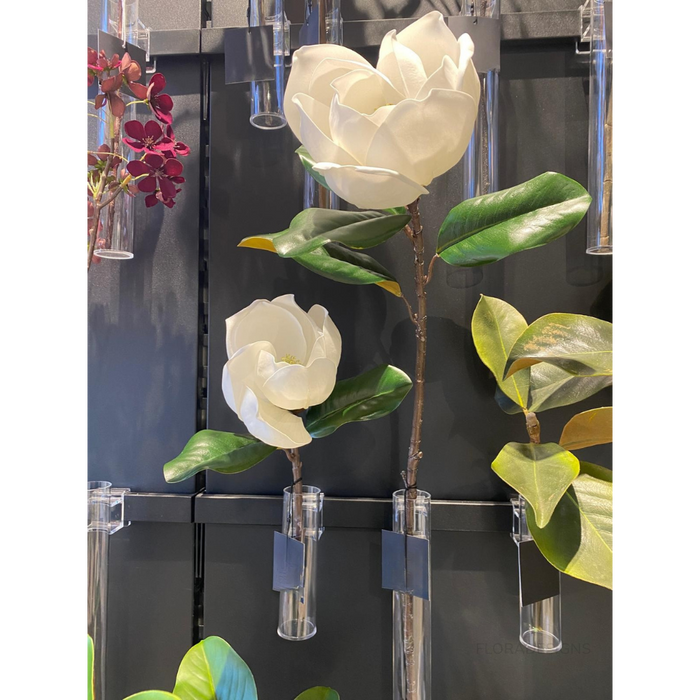 Magnolia White 73cm Pack of 12