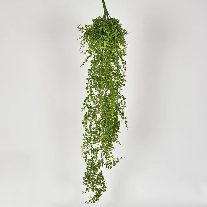 Maidenhair Fern Hanging Bush Green - Pack of 6