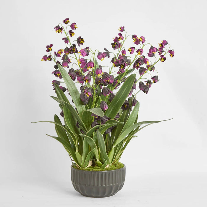 Mandine Arrangement 110cm Purple in Black Pot