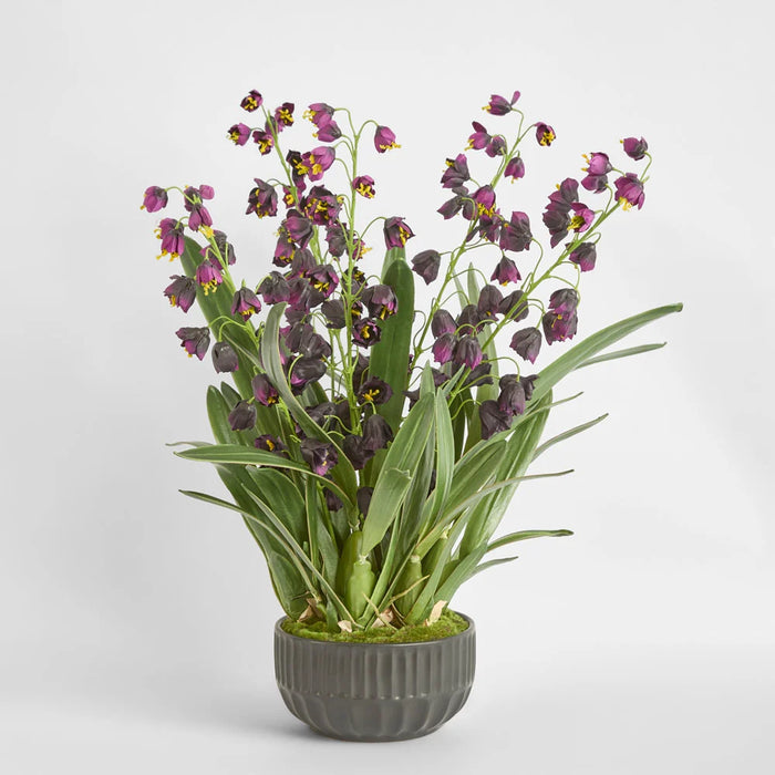 Mandine Arrangement 110cm Purple in Black Pot