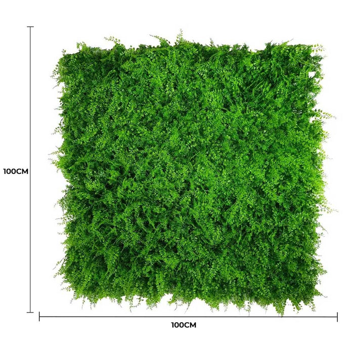 Mediterranean Fern Vertical Garden Green Wall 1mx1m - FLORA DESIGNS