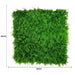 Mediterranean Fern Vertical Garden Green Wall 1mx1m - FLORA DESIGNS