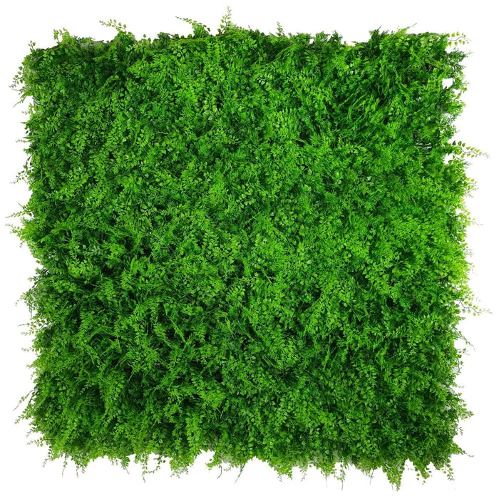 Mediterranean Fern Vertical Garden Green Wall 1mx1m - FLORA DESIGNS