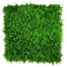 Mediterranean Fern Vertical Garden Green Wall 1mx1m - FLORA DESIGNS