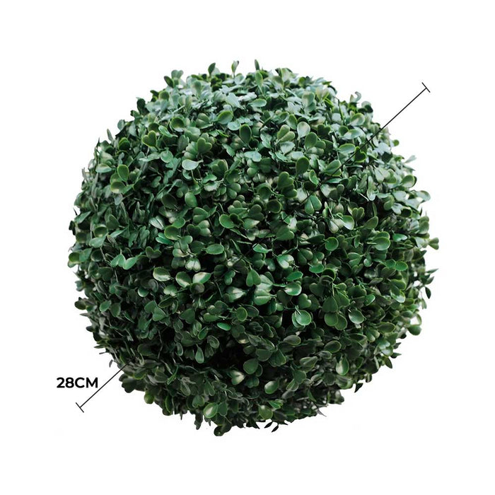 Boxwood Topiary Ball 28cm - FLORA DESIGNS