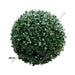 Boxwood Topiary Ball 28cm - FLORA DESIGNS