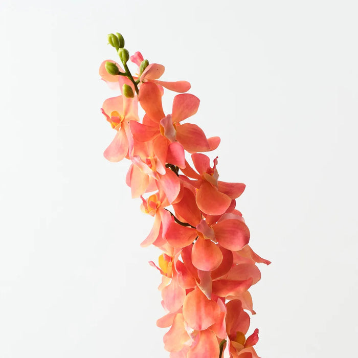 Mokara Orchid Spray 74cm Orange - Pack of 6