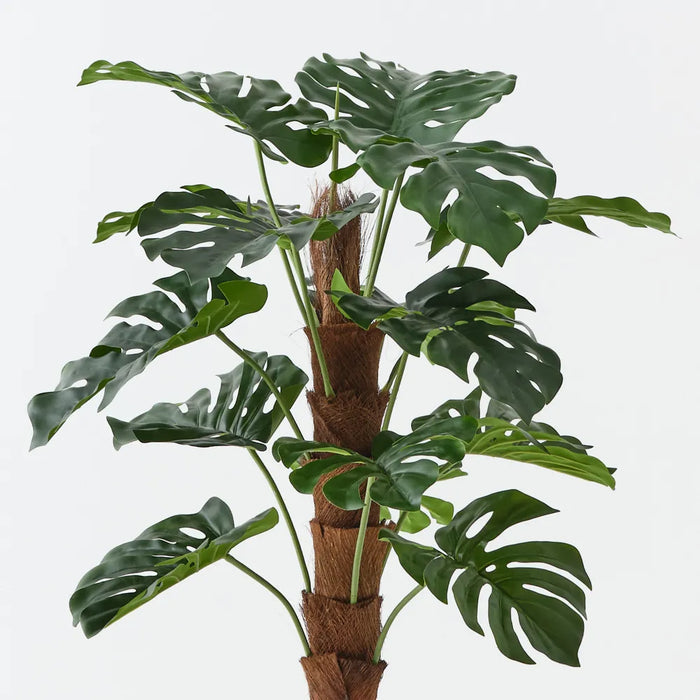 Monstera Plant On Pole 90cm