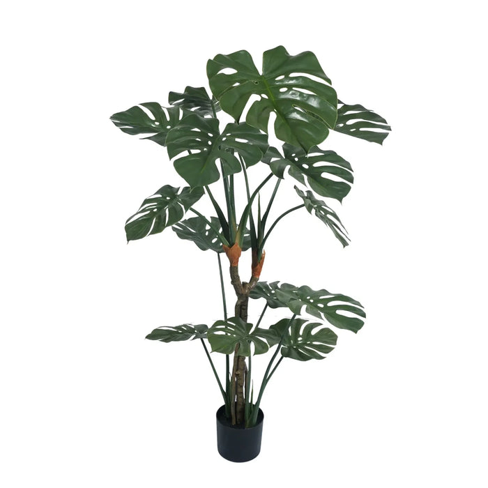 Monstera Split Leaf In Pot UV Resistant 150cm