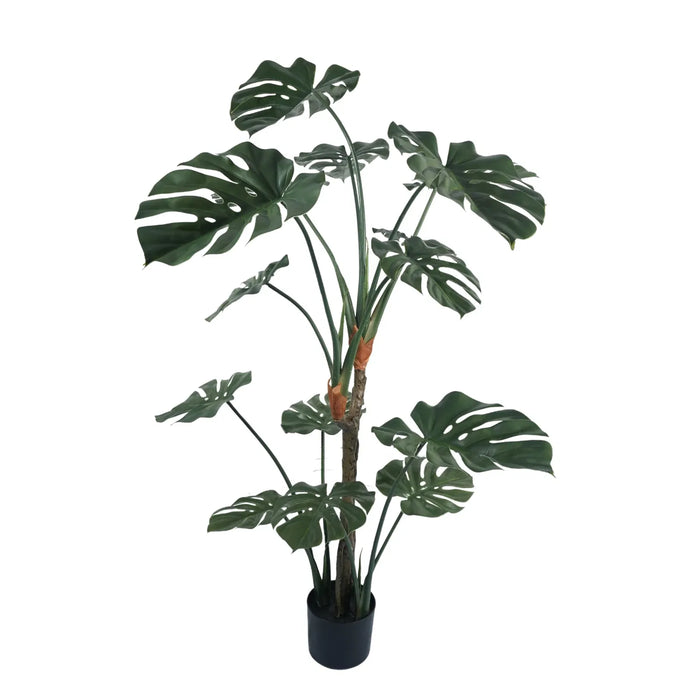 Monstera Split Leaf In Pot UV Resistant 150cm