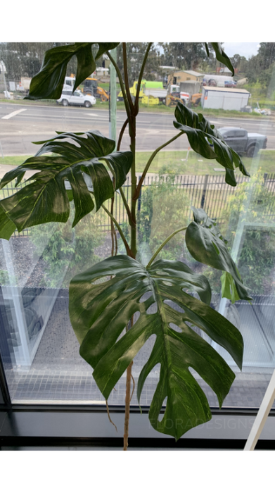 Monstera Stem Green 90cm Pack of 2