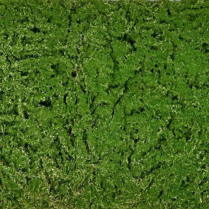 Moss Mat 100cm x 50cm Green