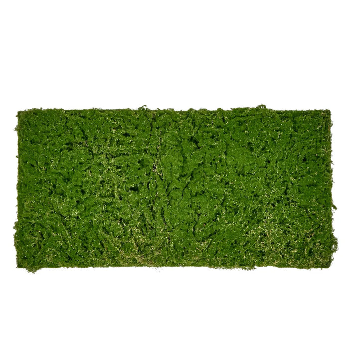 Moss Mat 100cm x 50cm Green