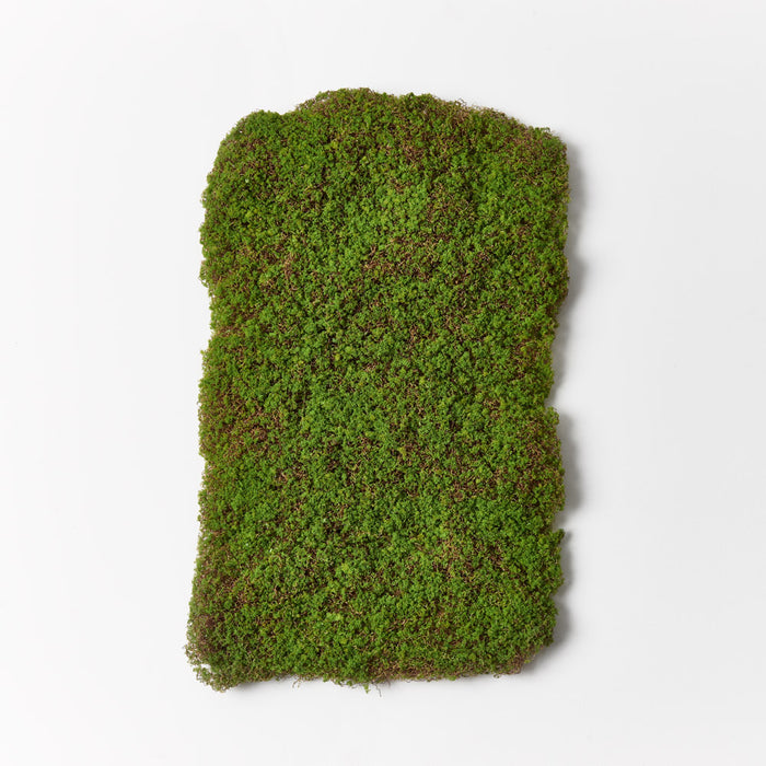 Moss Sheet 65cm Green Set of 6