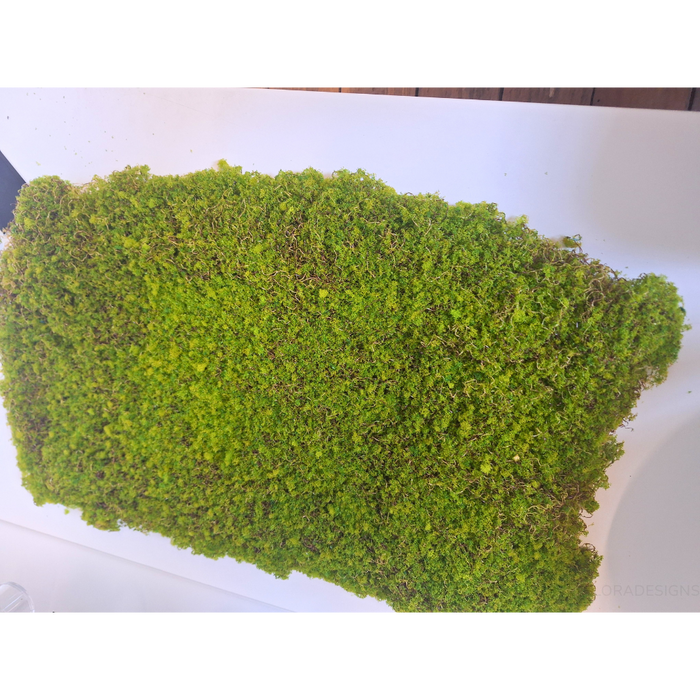 Moss Sheet 65cm Green Set of 6