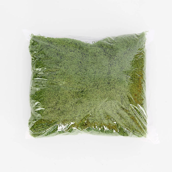 Moss Wool Green 500g Pack of 3