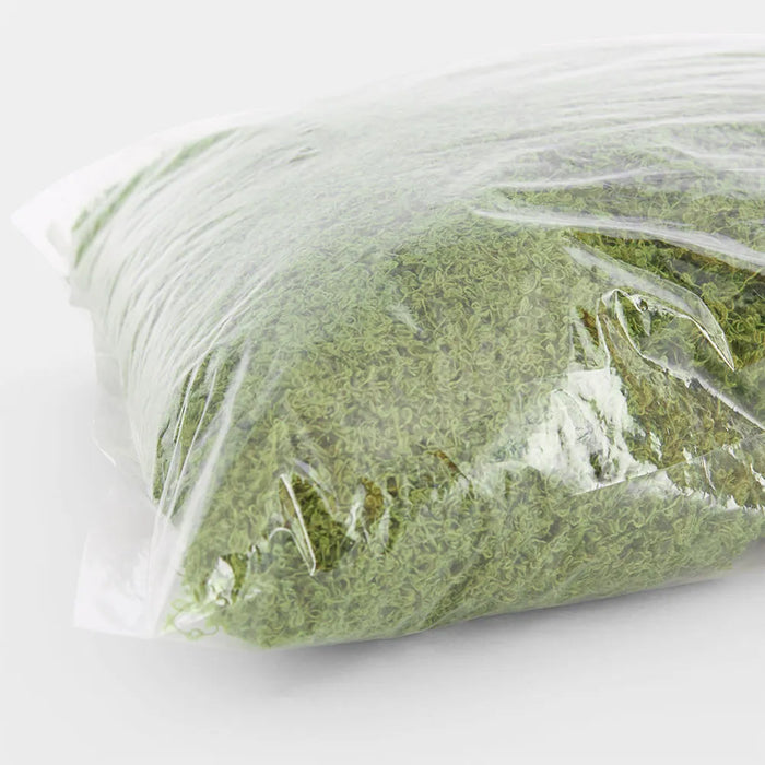 Moss Wool Green 500g Pack of 3