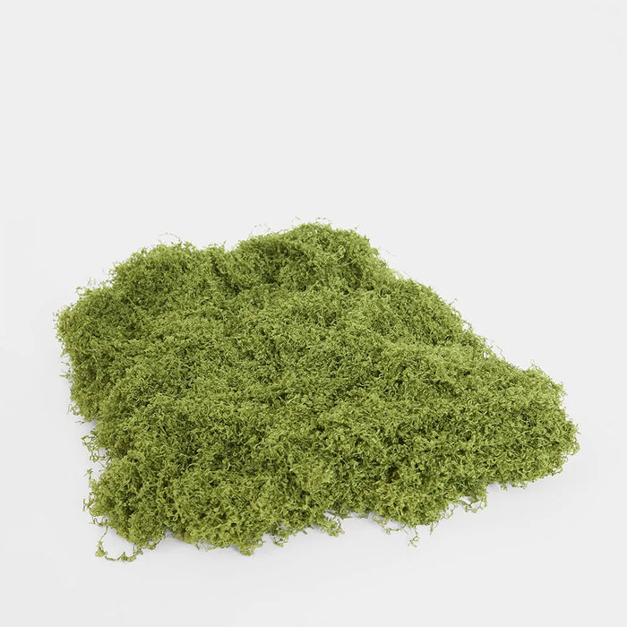 Moss Wool Green 500g Pack of 3