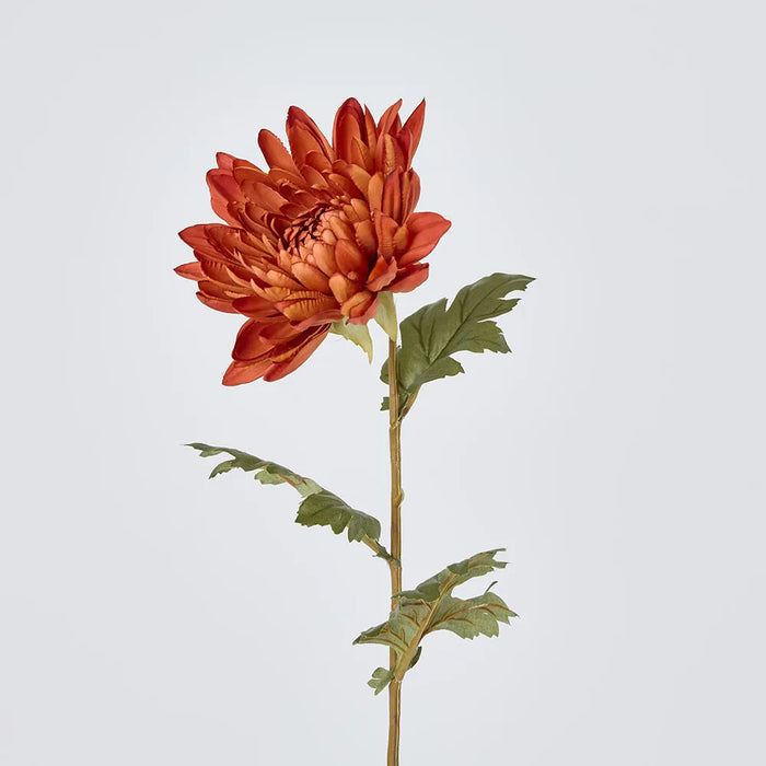 Mum Stem 69cm Brown Pack of 12