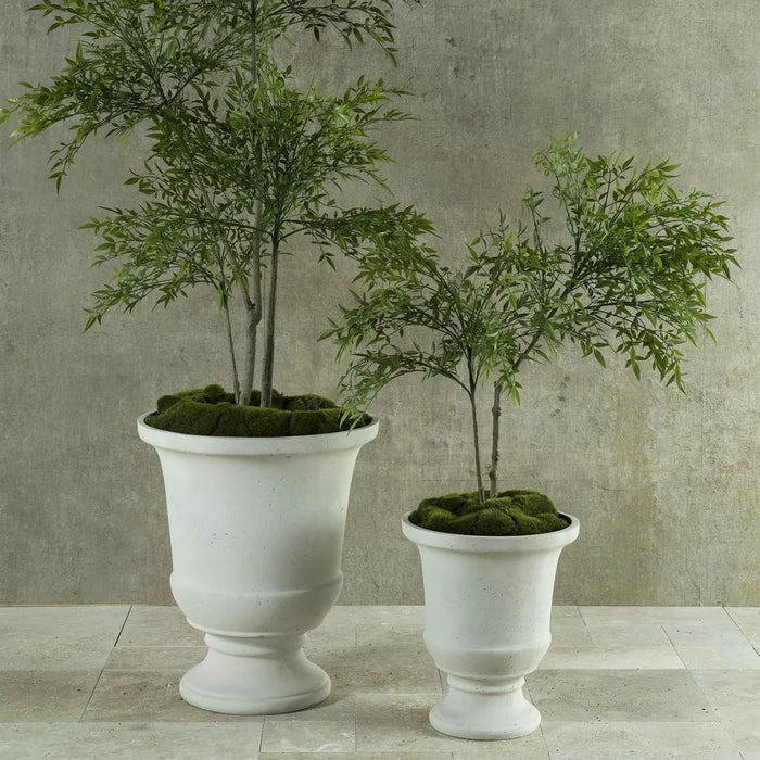 Nandina Green Tree 120cm