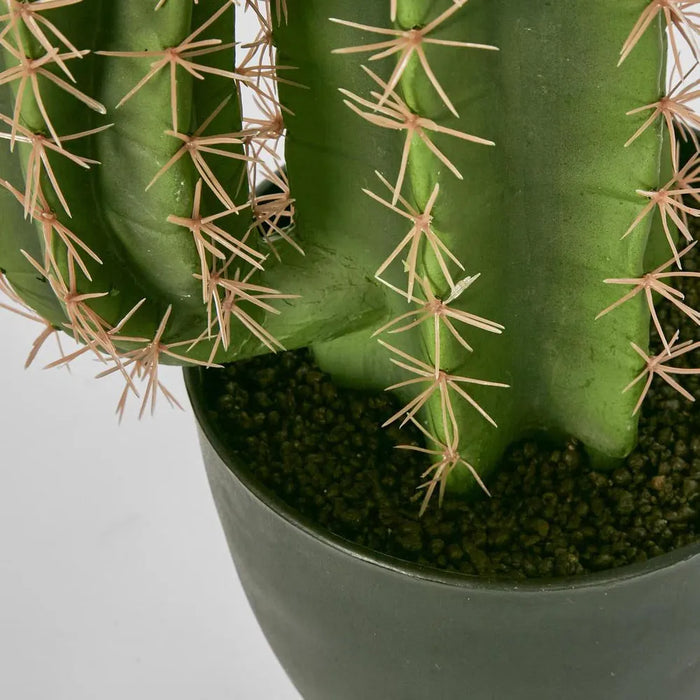 Nevada Desert Green Cactus 69cm