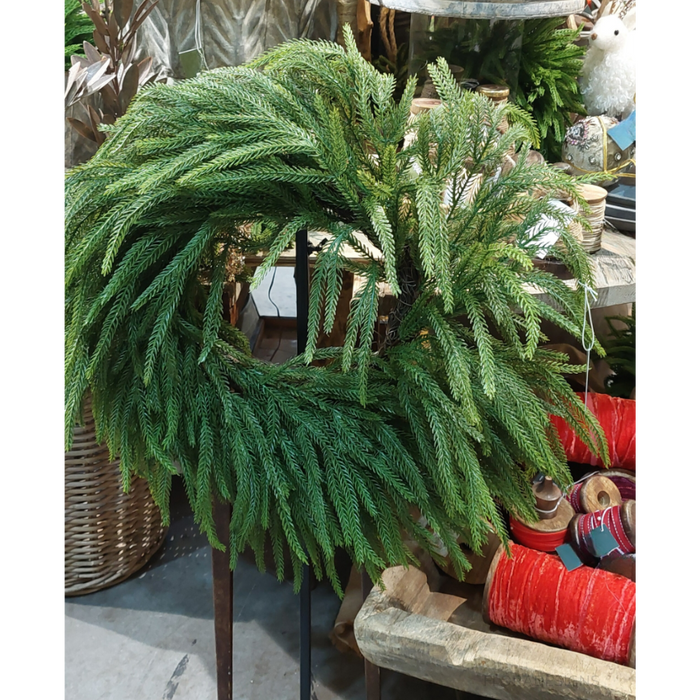 Norfolk Pine Wreath Green 56cm