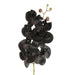 Artificial Orchid Phalaenopsis Spray Real Touch Black 70cm Black - FLORA DESIGNS