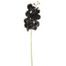 Artificial Orchid Phalaenopsis Spray Real Touch Black 70cm Black - FLORA DESIGNS