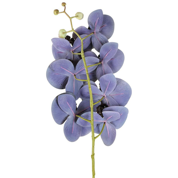 Artificial Orchid Phalaenopsis Spray Real Touch Black 70cm Black - FLORA DESIGNS