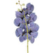 Artificial Orchid Phalaenopsis Spray Real Touch Black 70cm Black - FLORA DESIGNS