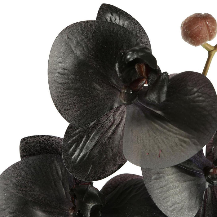 Artificial Orchid Phalaenopsis Spray Real Touch Black 70cm Black - FLORA DESIGNS