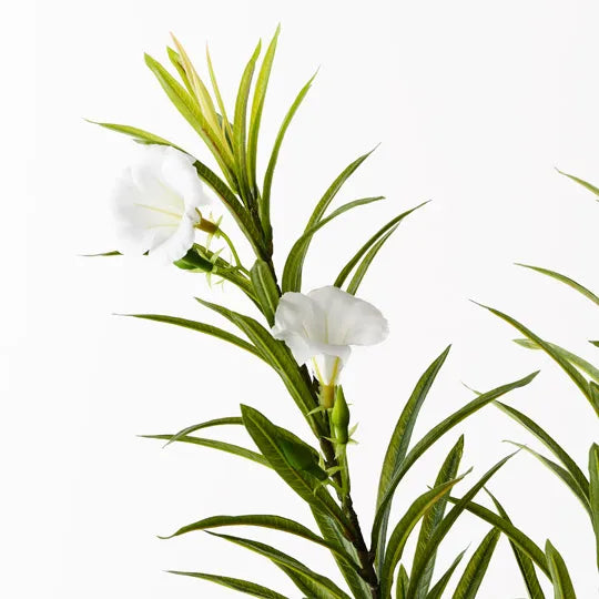 Oleander Spray White 92cm - Pack of 12