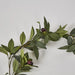 Olive Garland Green 182cm - Pack of 12