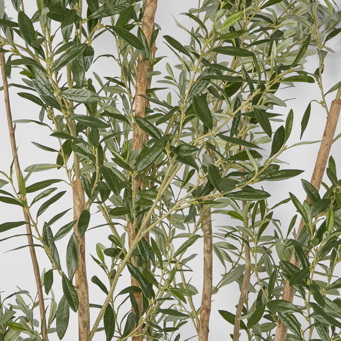 Olive Green Multi Stem Tree 280cm