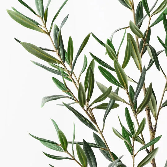 Olive Leaf Spray Grey Green 122cm Set of 6