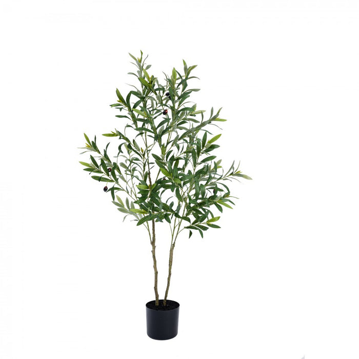 Olive Tree 122cm