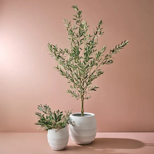 Olive Tree 183cm Grey Green Pack of 2