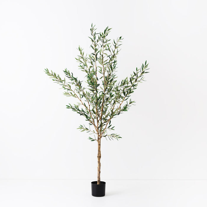 Olive Tree 183cm Grey Green Pack of 2