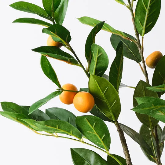 Orange Tree 91cm Pack of 2