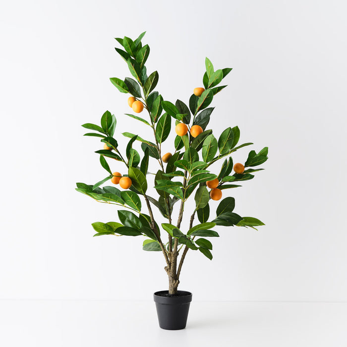 Orange Tree 91cm Pack of 2