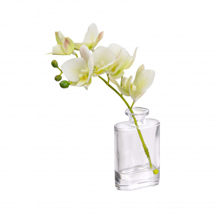 Orchid In Bottle Vase 27cm Set of 2