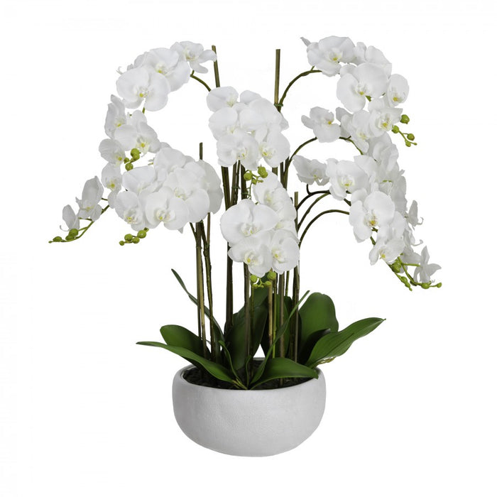 Orchid In Ceramic Pot 90cm White