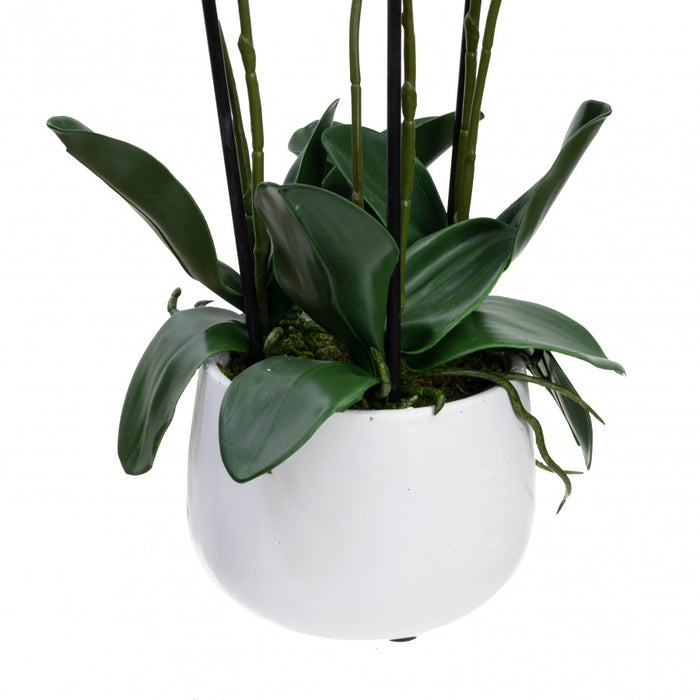 Orchid In Pot 48cm