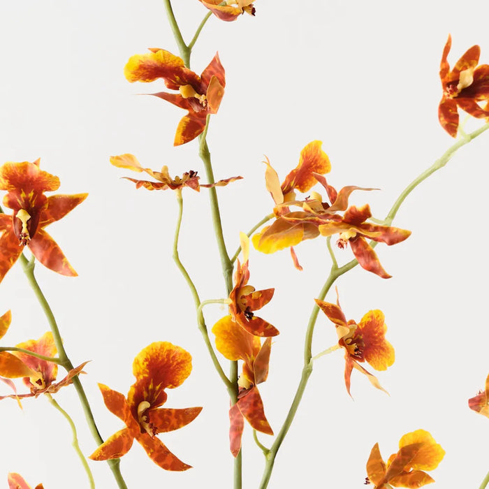 Orchid Oncidium Spray Burnt Orange, 94cm Pack of 12