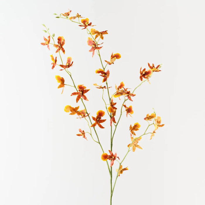 Orchid Oncidium Spray Burnt Orange, 94cm Pack of 12
