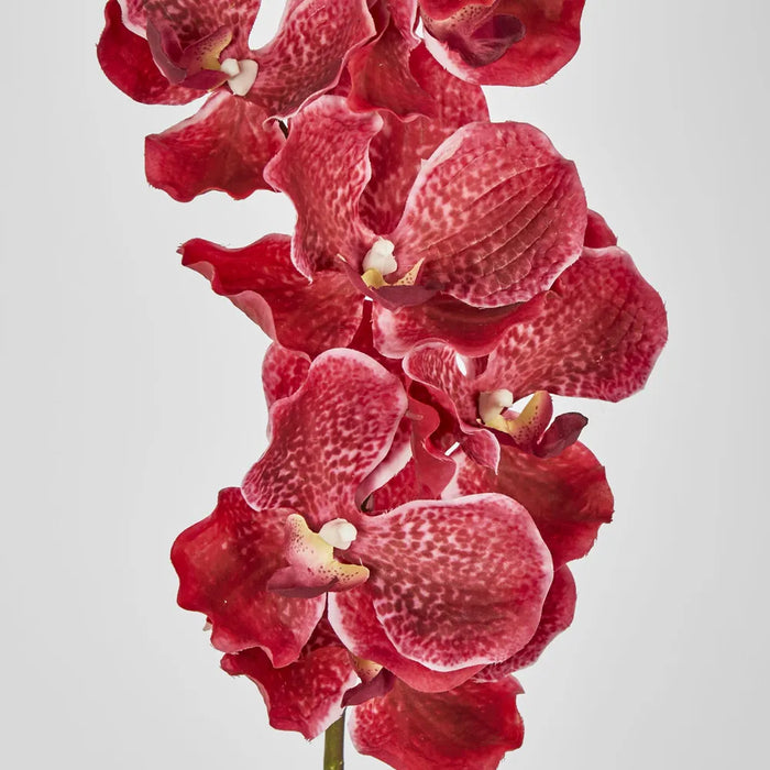 Orchid Stem Real Touch 78cm Fuschia Red Pack of 12