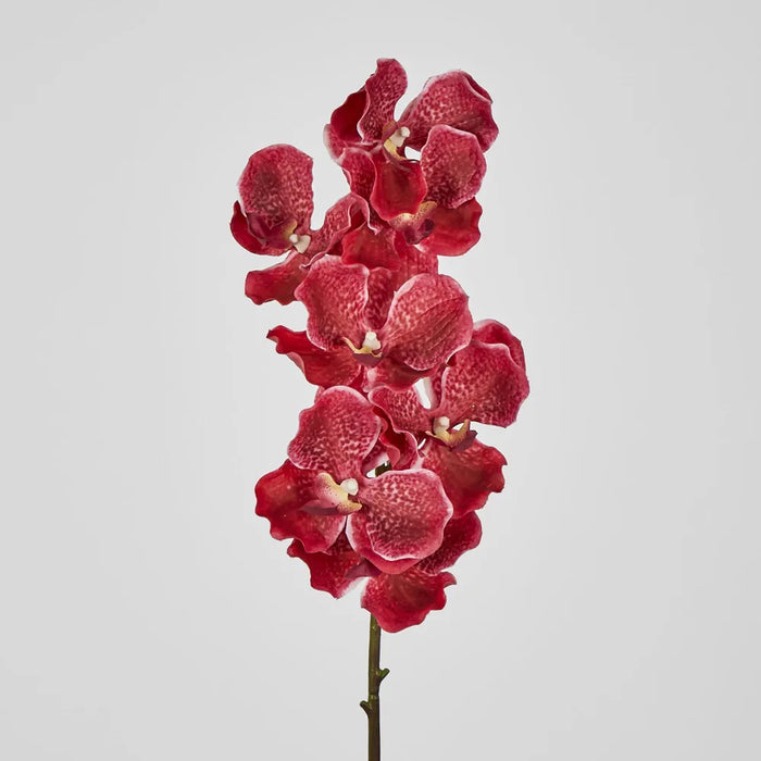 Orchid Stem Real Touch 78cm Fuschia Red Pack of 12