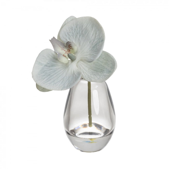 Orchid in Bud Glass Vase 19cm Grey - Set of 3