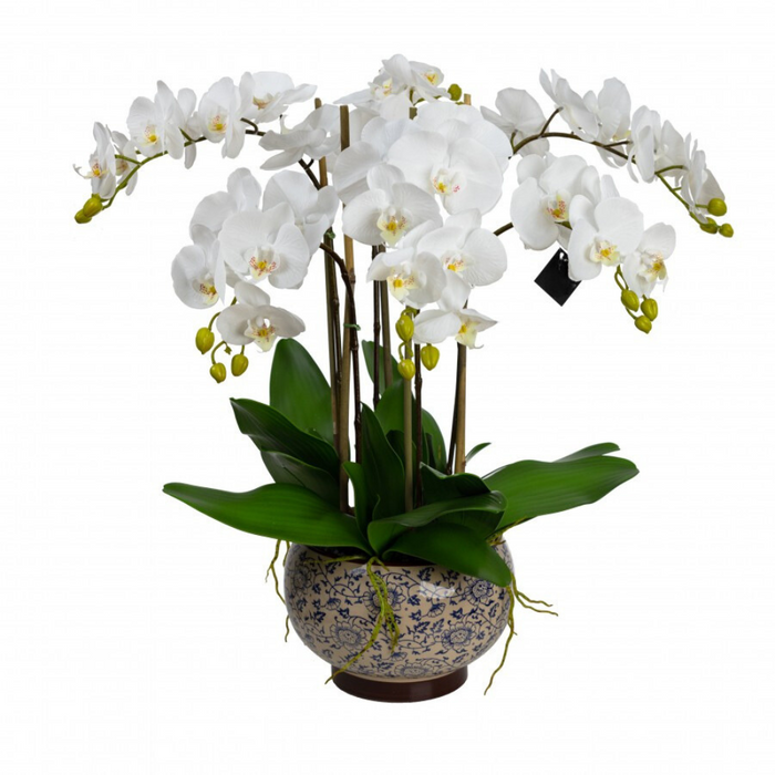 Orchid in Hampton Bowl 72cm Style B