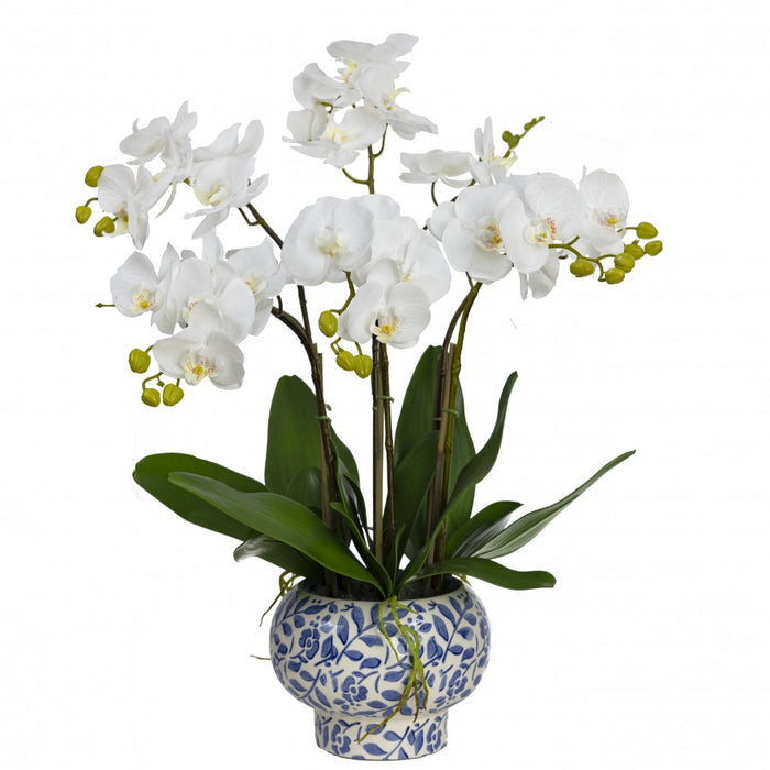 Orchid in Hampton Bowl 72cm